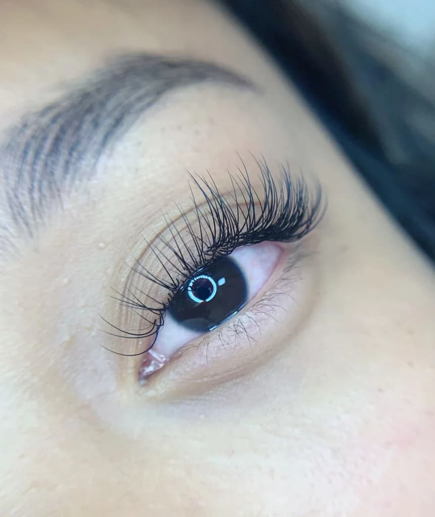Classic lash